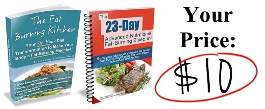 Fat Burning Kitchen book with free bonus